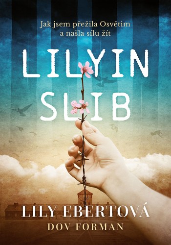 Obrázok Lilyin slib