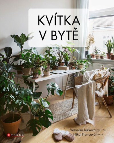 Obrázok Kvítka v bytě