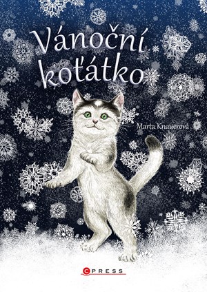 Obrázok Vánoční koťátko