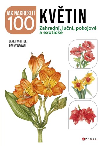 Obrázok Jak nakreslit 100 květin