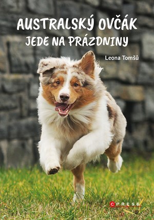 Obrázok Australský ovčák jede na prázdniny