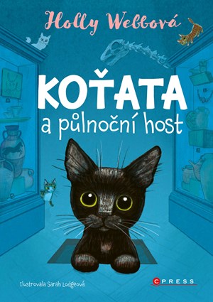 Obrázok Koťata a půlnoční host