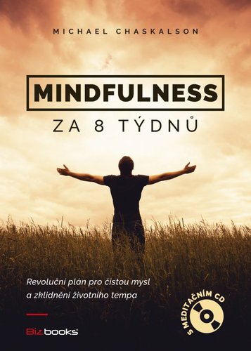 Obrázok Mindfulness za 8 týdnů