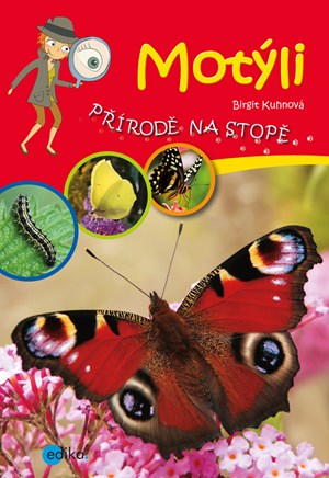 Obrázok Motýli