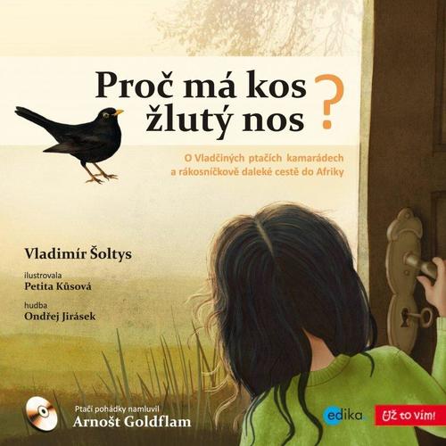Obrázok Proč má kos žlutý nos