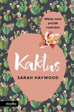 Obrázok Kaktus