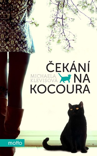 Obrázok Čekání na kocoura