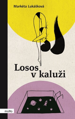 Obrázok Losos v kaluži