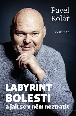 Obrázok Labyrint bolesti