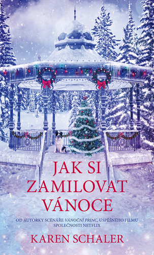 Obrázok Jak si zamilovat Vánoce
