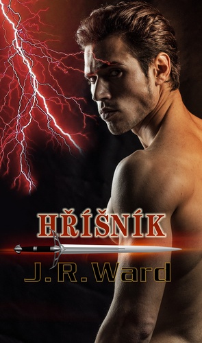 Obrázok Hříšník
