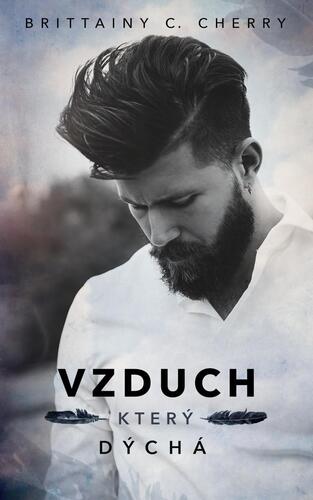 Obrázok Vzduch, který dýchá
