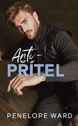 Obrázok Anti-přítel