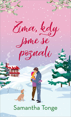 Obrázok Zima, kdy jsme se poznali