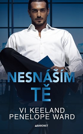 Obrázok Nesnáším tě