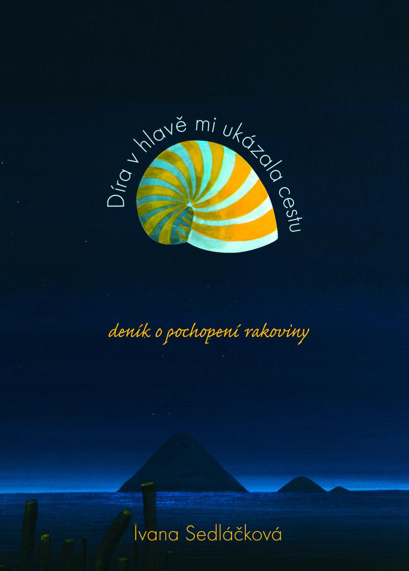 Obrázok Díra v hlavě mi ukázala cestu