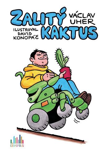Obrázok Zalitý kaktus