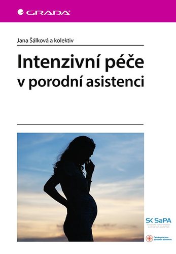 Obrázok Intenzivní péče v porodní asistenci