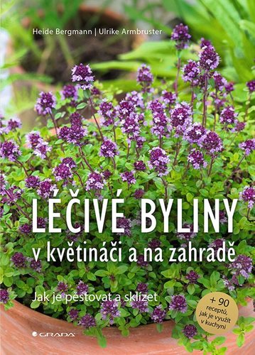 Obrázok Léčivé byliny v květináči a na zahradě