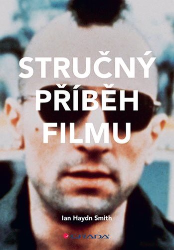 Obrázok Stručný příběh filmu