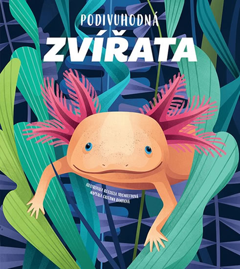 Obrázok Podivuhodná zvířata