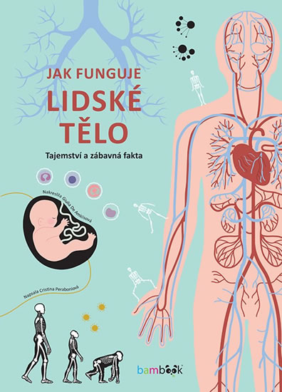 Obrázok Jak funguje lidské tělo