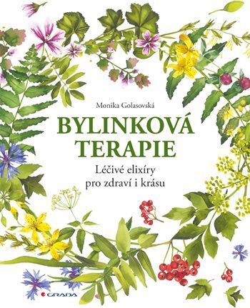Obrázok Bylinková terapie