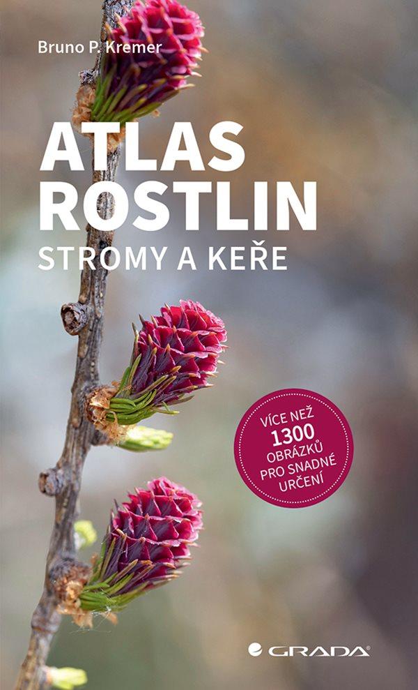 Obrázok Atlas rostlin - Stromy a keře