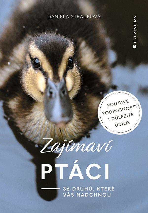 Obrázok Zajímaví ptáci - 36 druhů, které vás ohromí