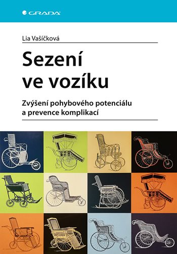 Obrázok Sezení ve vozíku