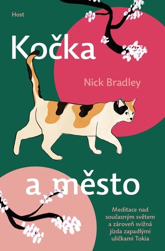 Obrázok Kočka a město