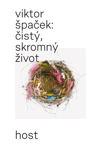 Obrázok Čistý, skromný život