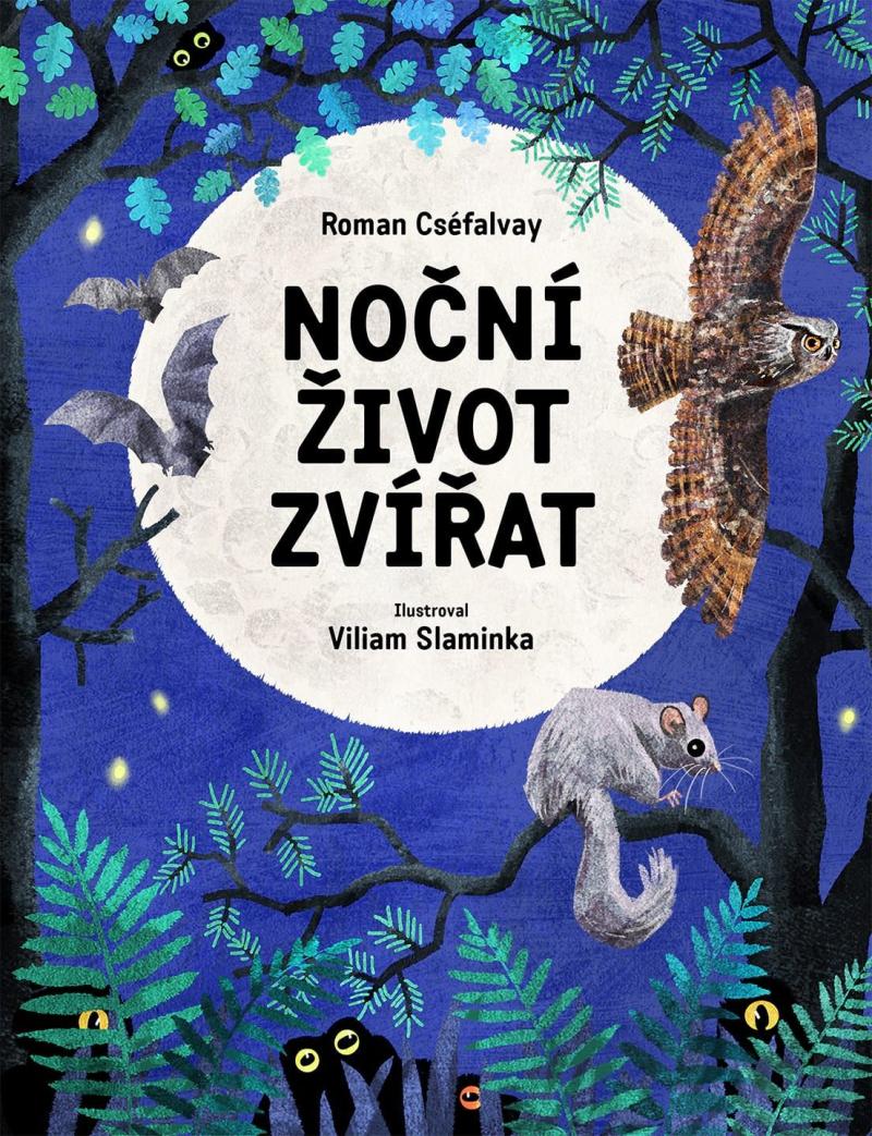 Obrázok Noční život zvířat