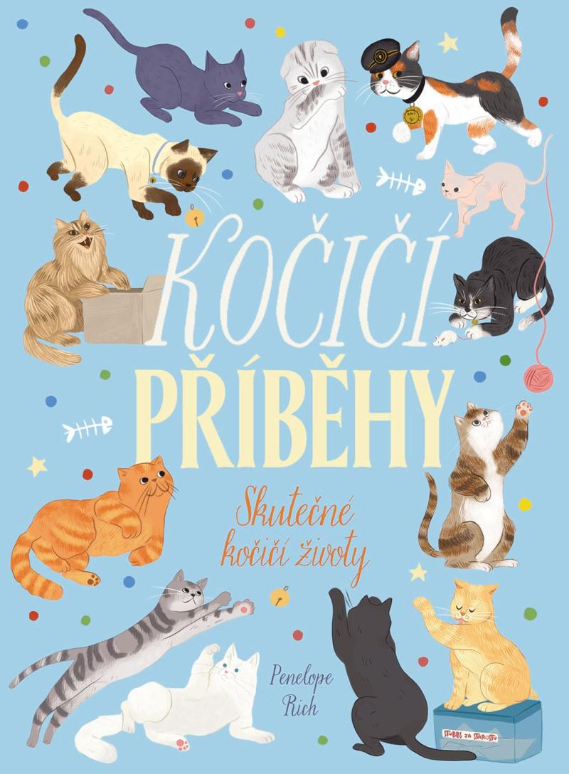 Obrázok Kočičí příběhy -  Skutečné kočičí životy