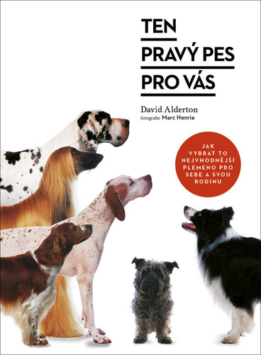 Obrázok Ten pravý pes pro vás