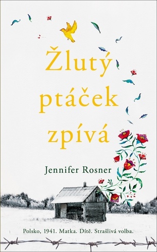 Obrázok Žlutý ptáček zpívá
