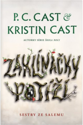 Obrázok Zaklínačky problémů