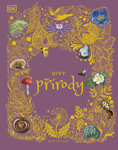 Obrázok Divy přírody