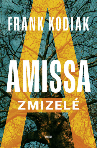 Obrázok Amissa: Zmizelé