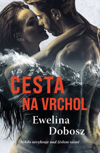 Obrázok Cesta na vrchol