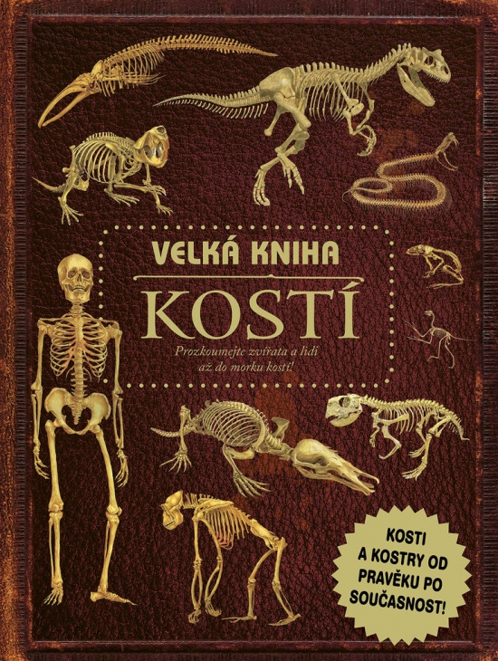 Obrázok Velká kniha kostí
