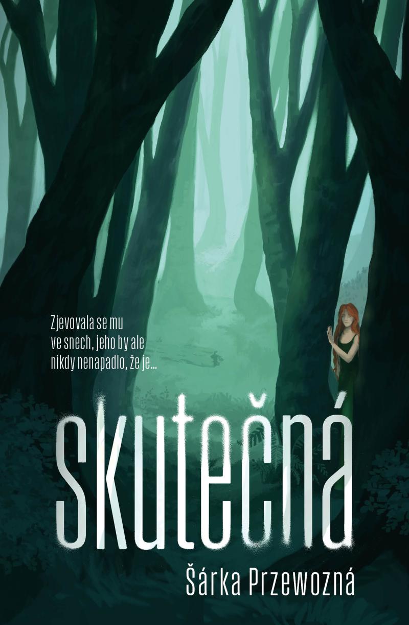 Obrázok Skutečná