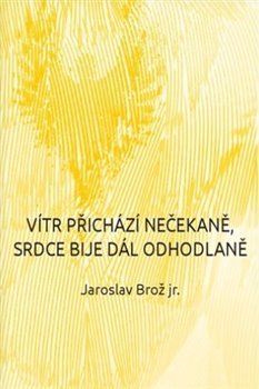 Obrázok Vítr přichází nečekaně, srdce bije dál odhodlaně