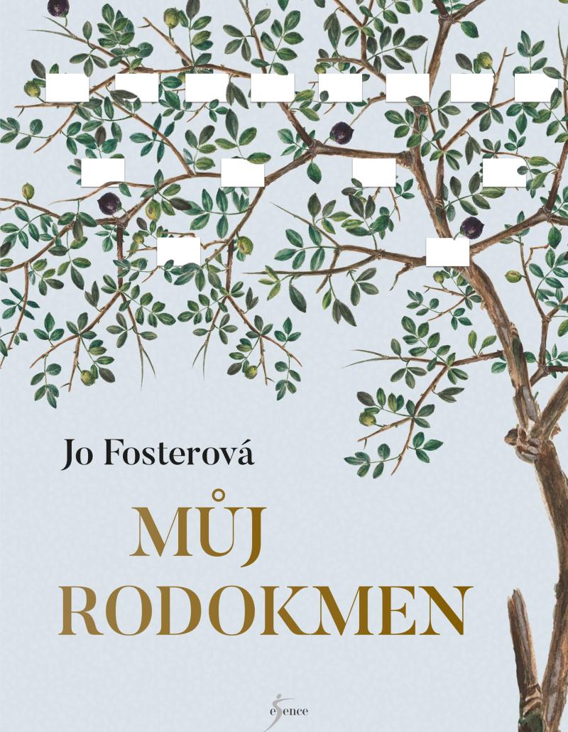 Obrázok Můj rodokmen