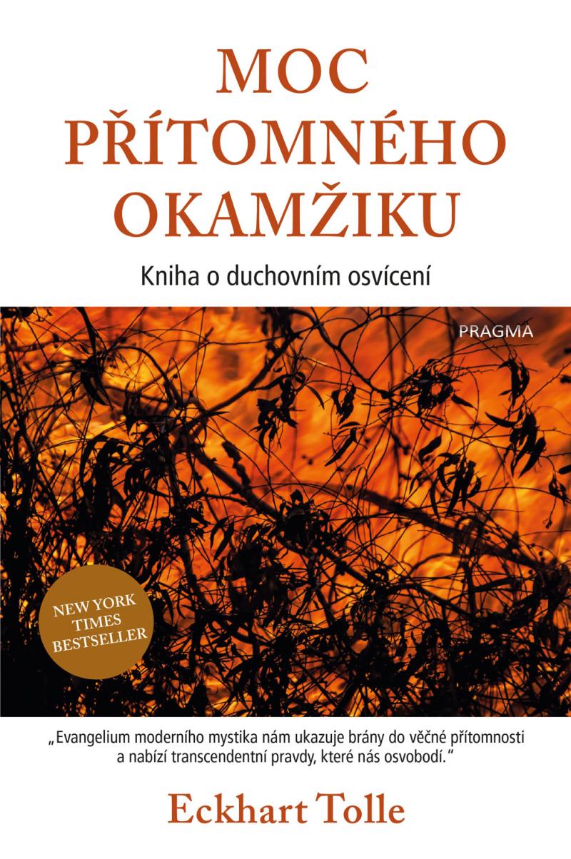 Obrázok Moc přítomného okamžiku