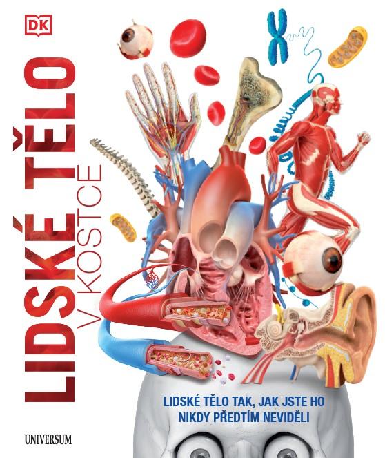 Obrázok Lidské tělo v kostce