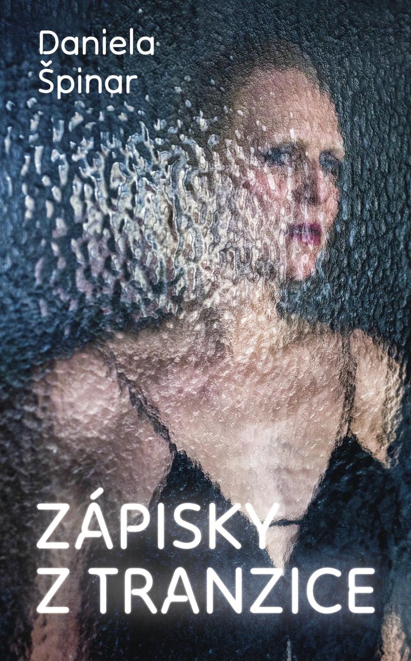 Obrázok Zápisky z tranzice
