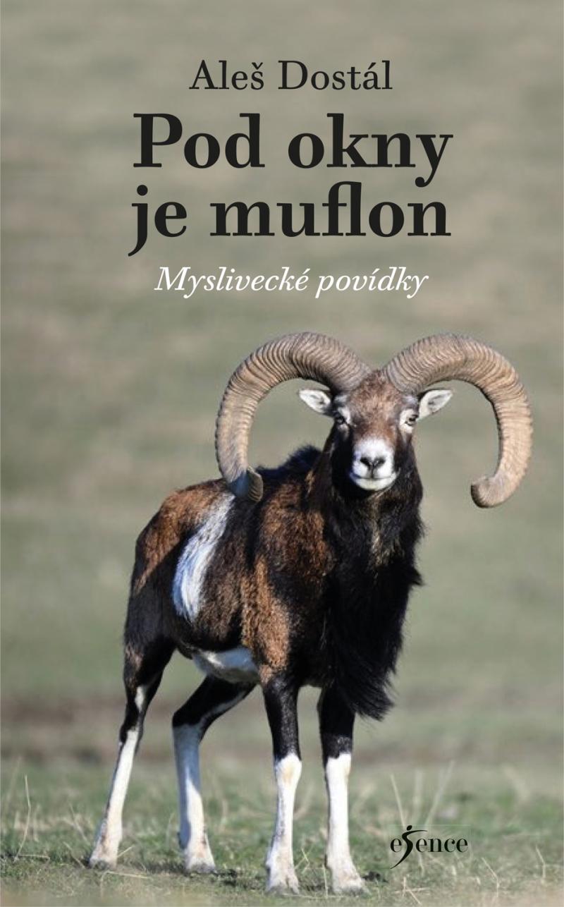 Obrázok Pod okny je muflon