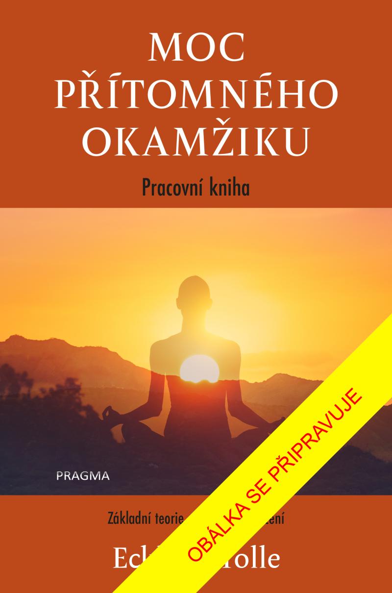 Obrázok Moc přítomného okamžiku – pracovní kniha