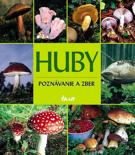 Obrázok Huby - Poznávanie a zber